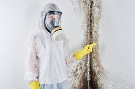 Best Mold Remediation for Healthcare Facilities  in Egypt, AL